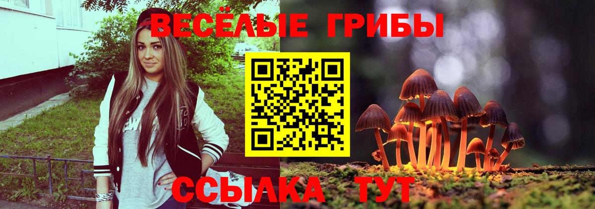 Псилоцибиновые грибы MAGIC MUSHROOMS Камышин
